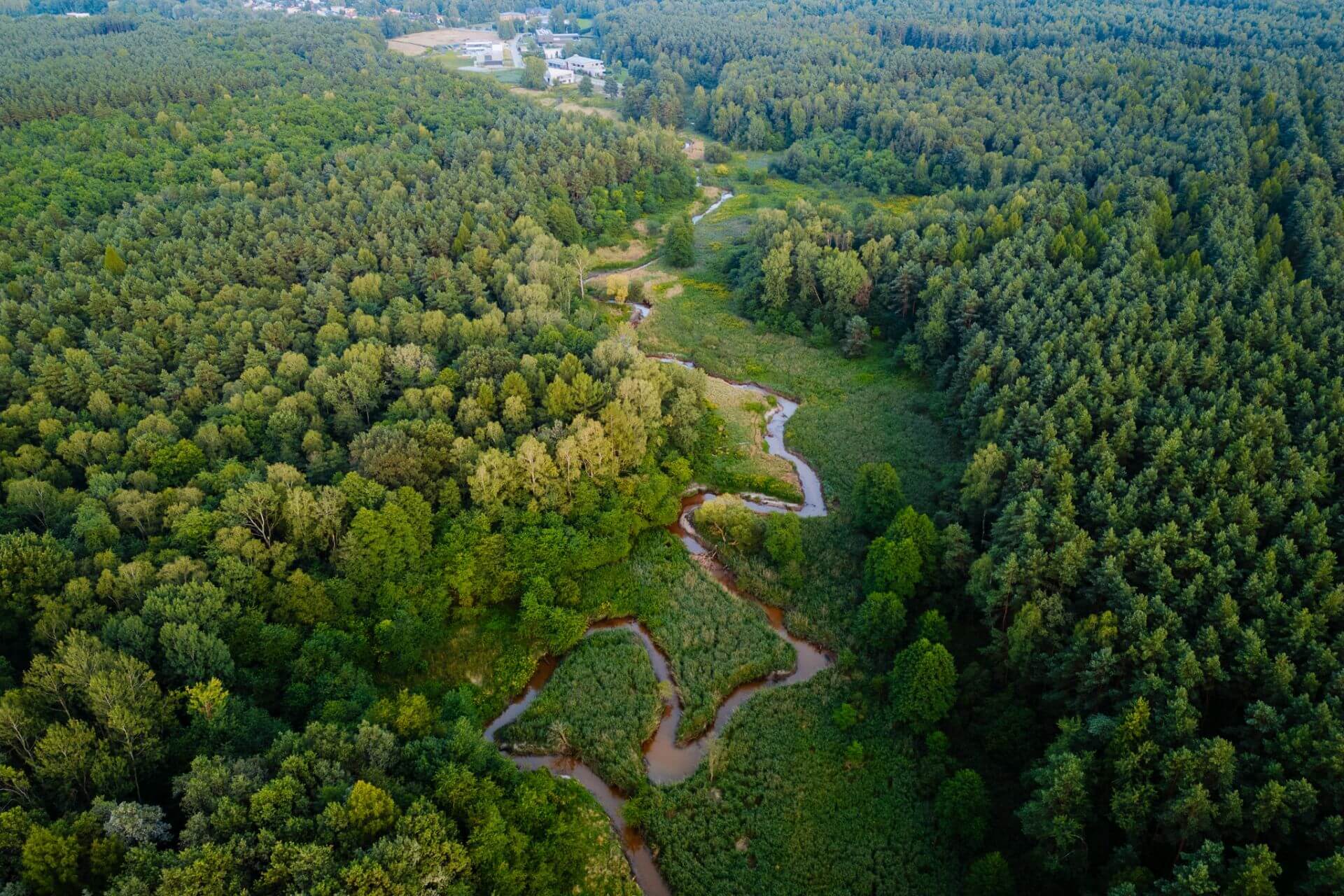 Meandry Kłodnicy