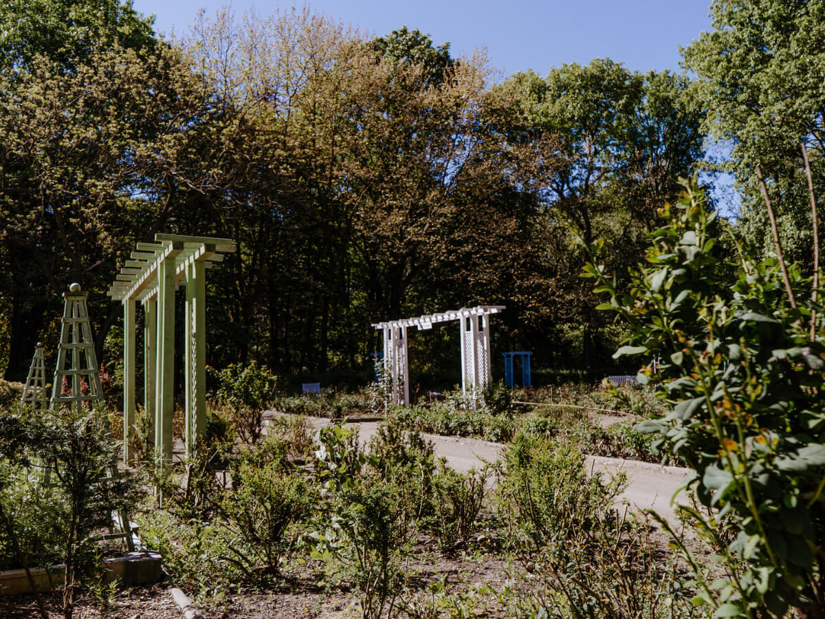 Miejski Ogród Botaniczny w Zabrzu