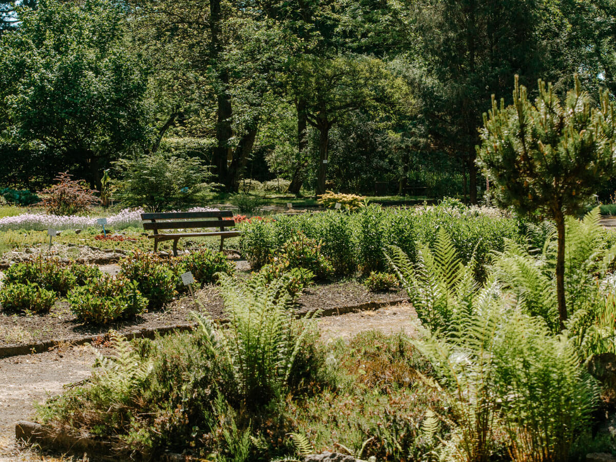 Miejski Ogród Botaniczny w Zabrzu