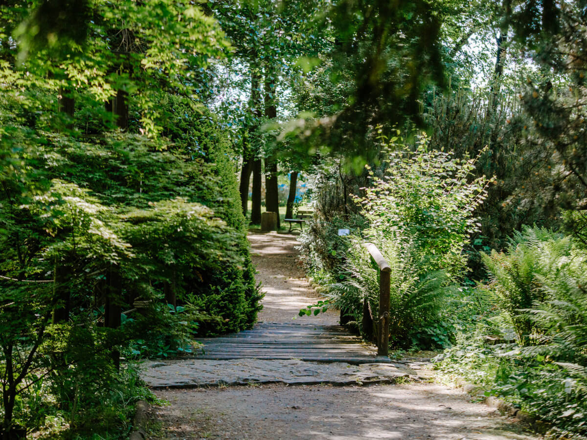 Miejski Ogród Botaniczny w Zabrzu