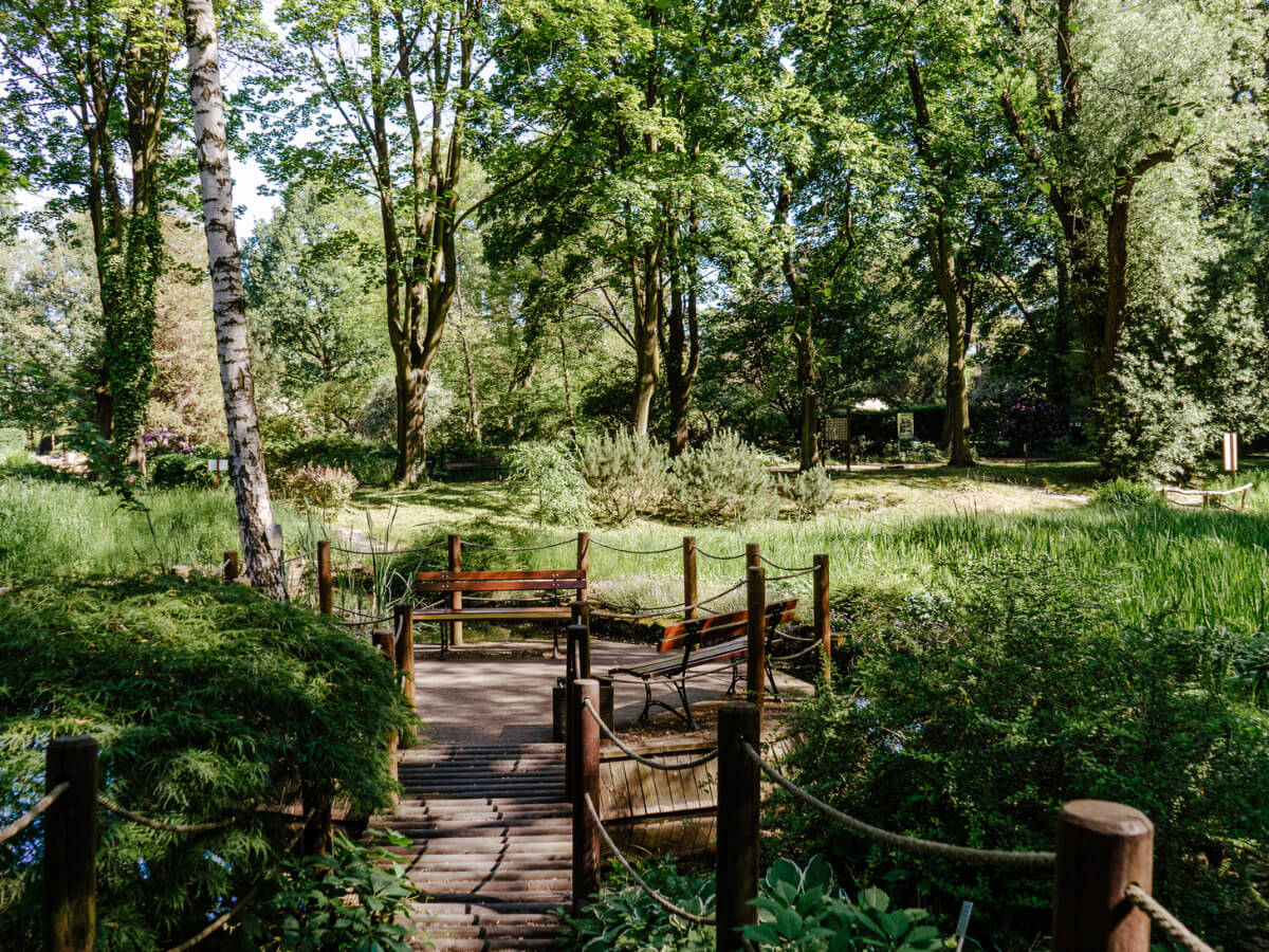 Miejski Ogród Botaniczny w Zabrzu