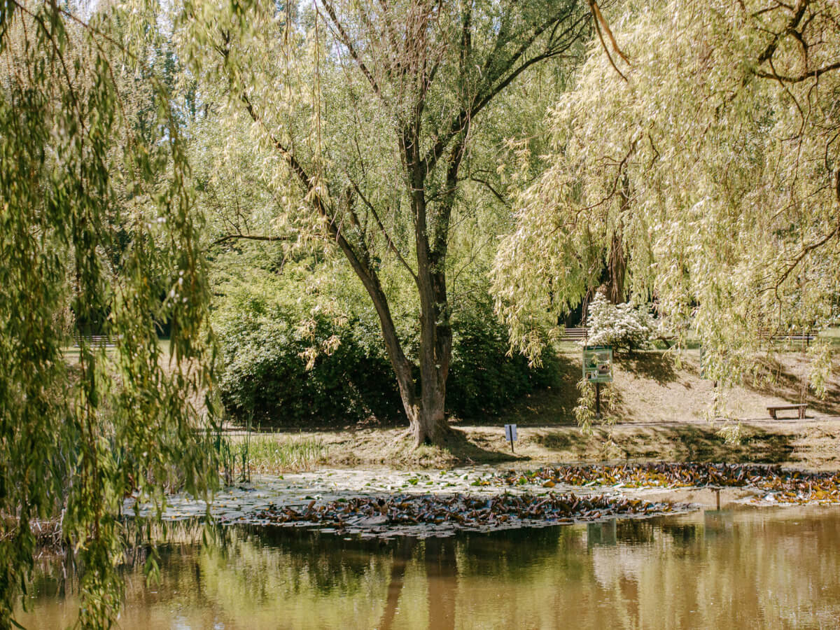 Miejski Ogród Botaniczny w Zabrzu