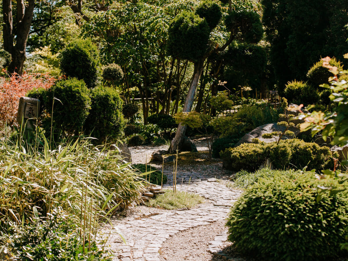 Miejski Ogród Botaniczny w Zabrzu