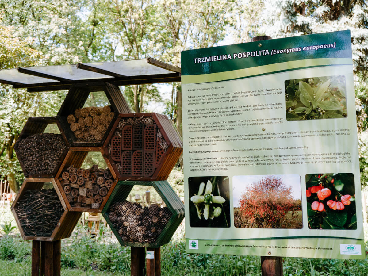 Miejski Ogród Botaniczny w Zabrzu