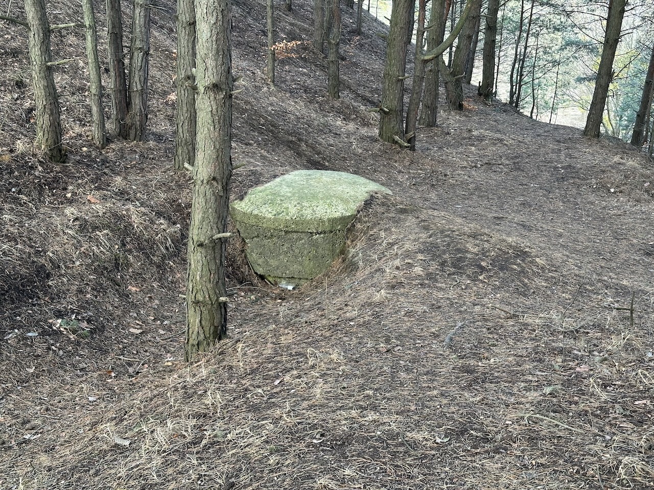 Rezerwat Segiet i hałda popłuczkowa