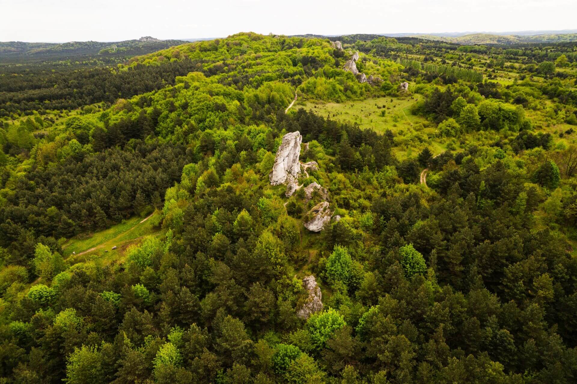 Rzedkowice Jura Krakowsko Czestochowska