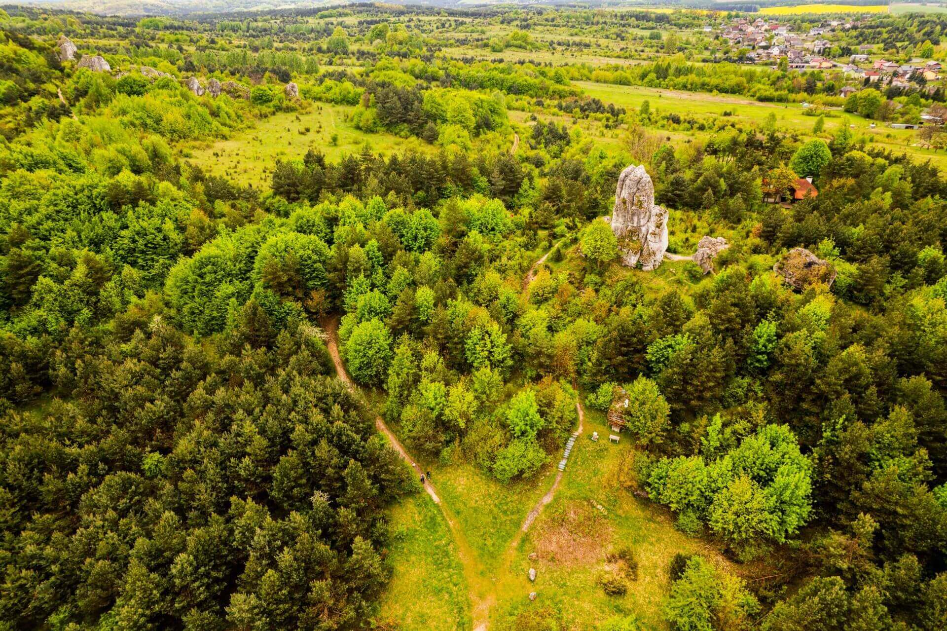 Rzedkowice Jura Krakowsko Czestochowska