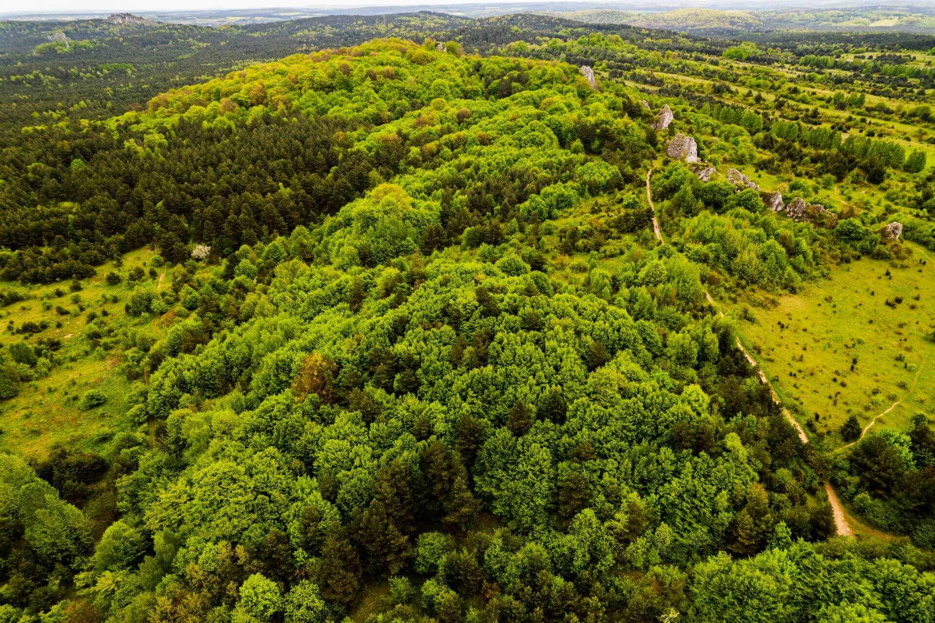 Rzedkowice Jura Krakowsko Czestochowska