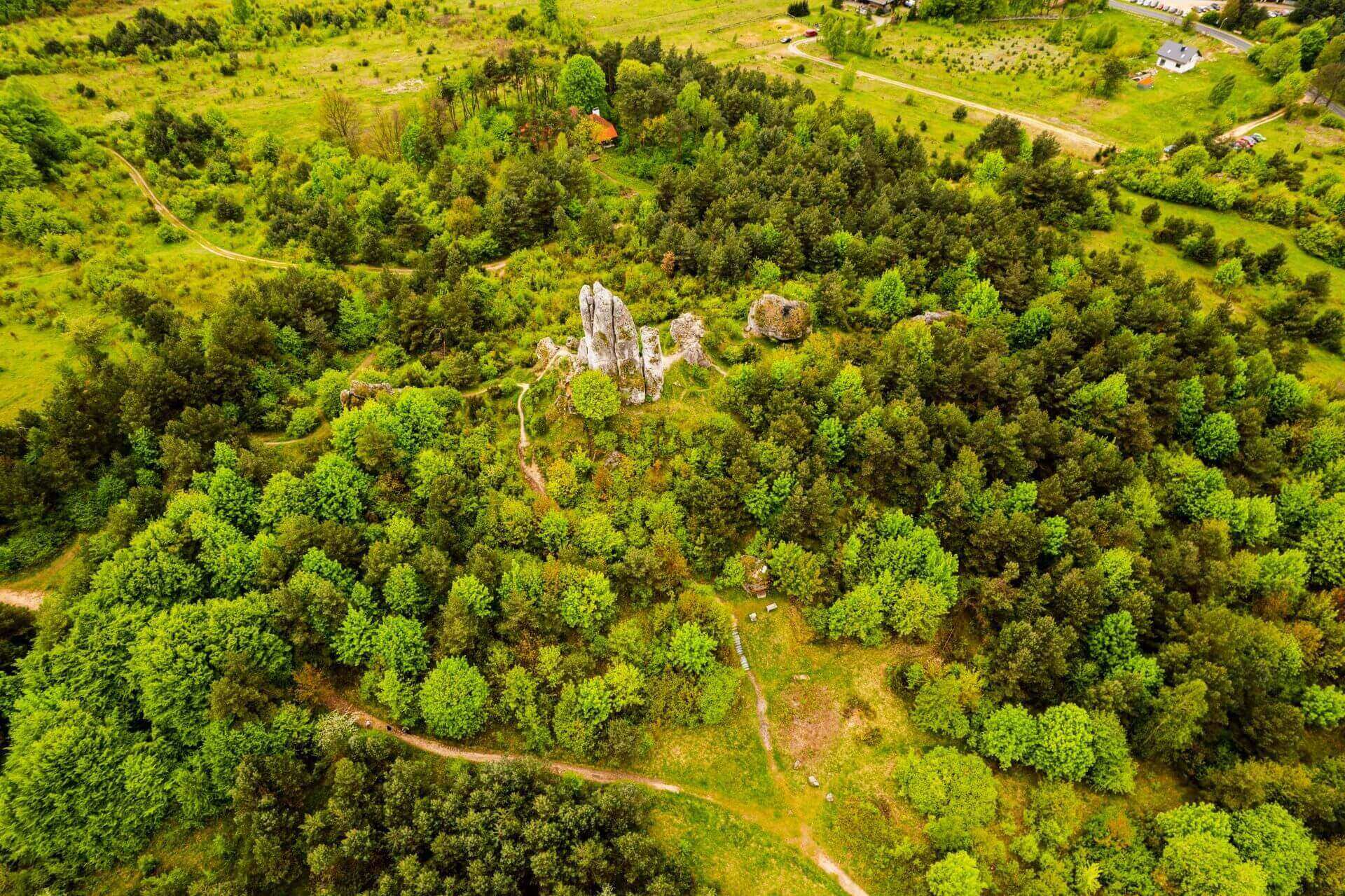 Rzedkowice Jura Krakowsko Czestochowska