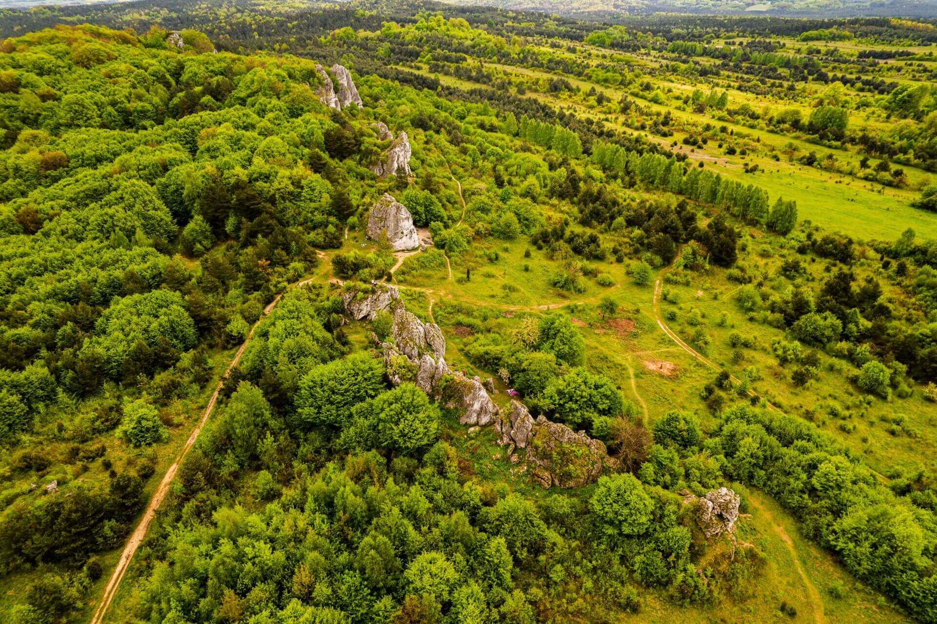 Rzedkowice Jura Krakowsko Czestochowska