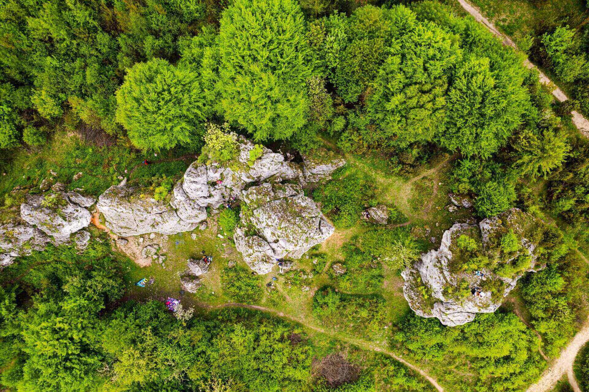 Rzedkowice Jura Krakowsko Czestochowska