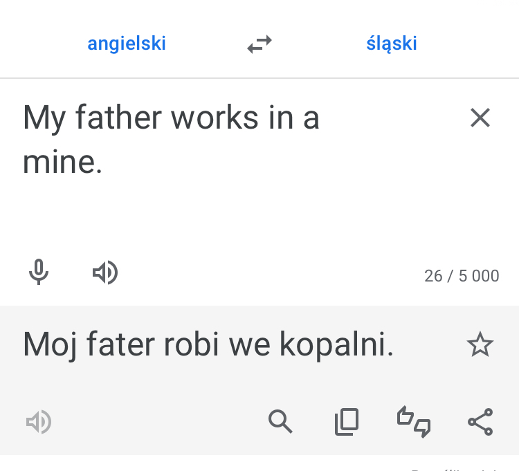 Slaski tlumacz google 3