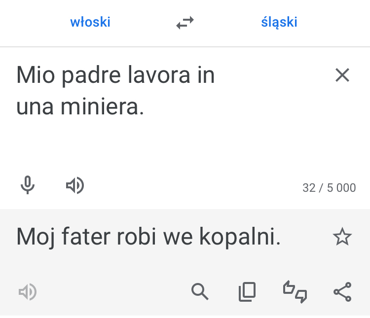 Slaski tlumacz google 4