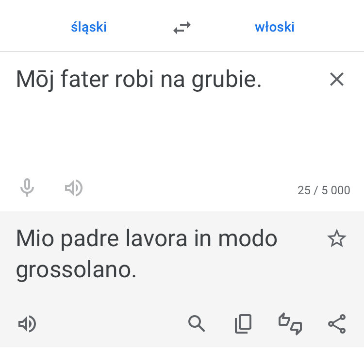 Slaski tlumacz google 5