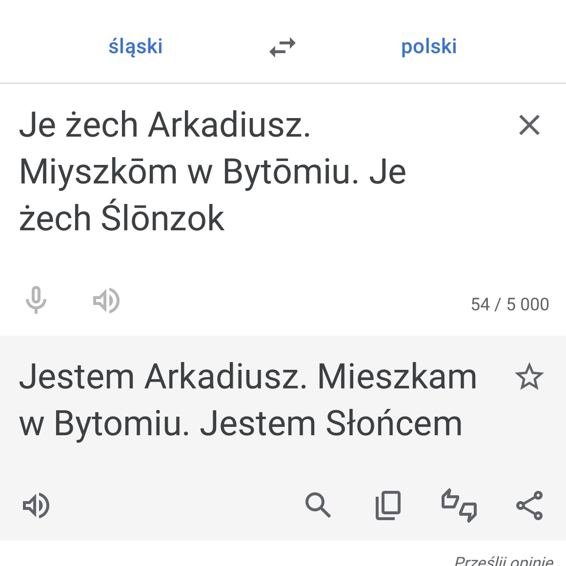 Translator slaski Google