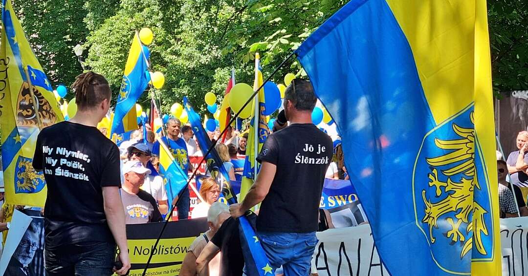 Piekło zamarzło! Szefowa Rady Języka Polskiego za uznaniem języka śląskiego: "Bardzo żywotny"