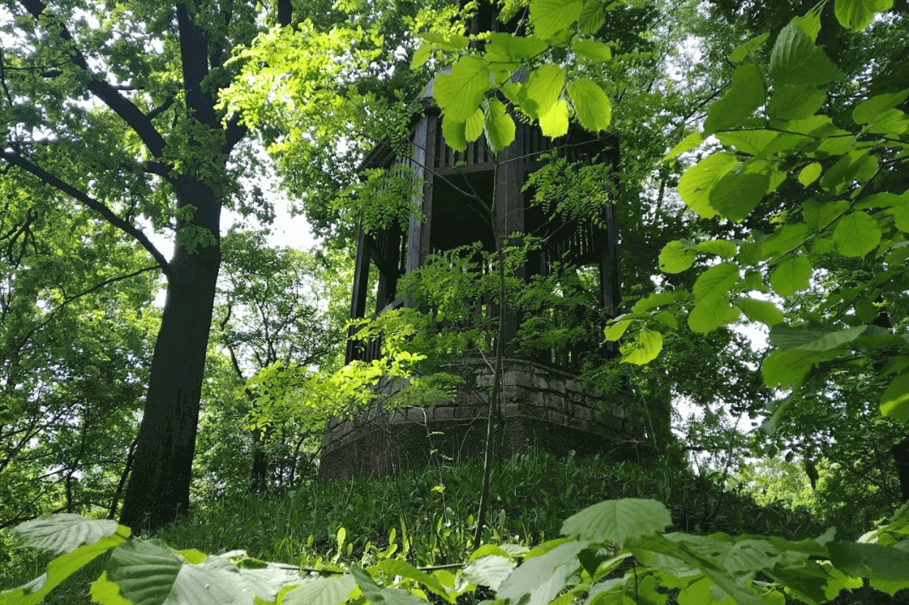 Park Miejski w Tarnowskich Górach