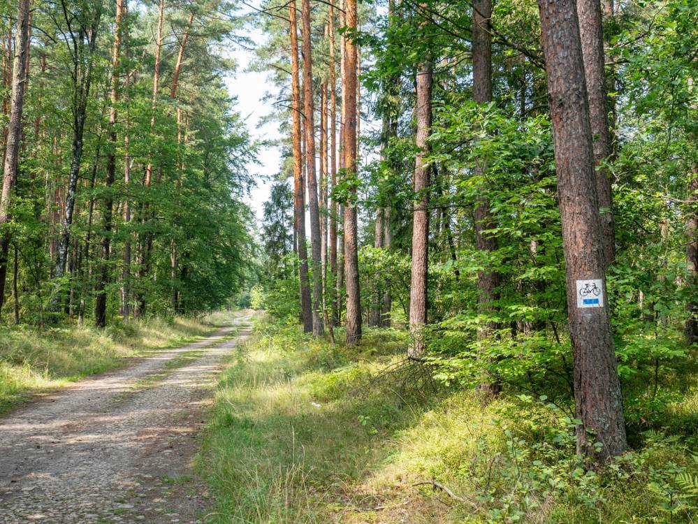 Liswarciański Szlak Rowerowy