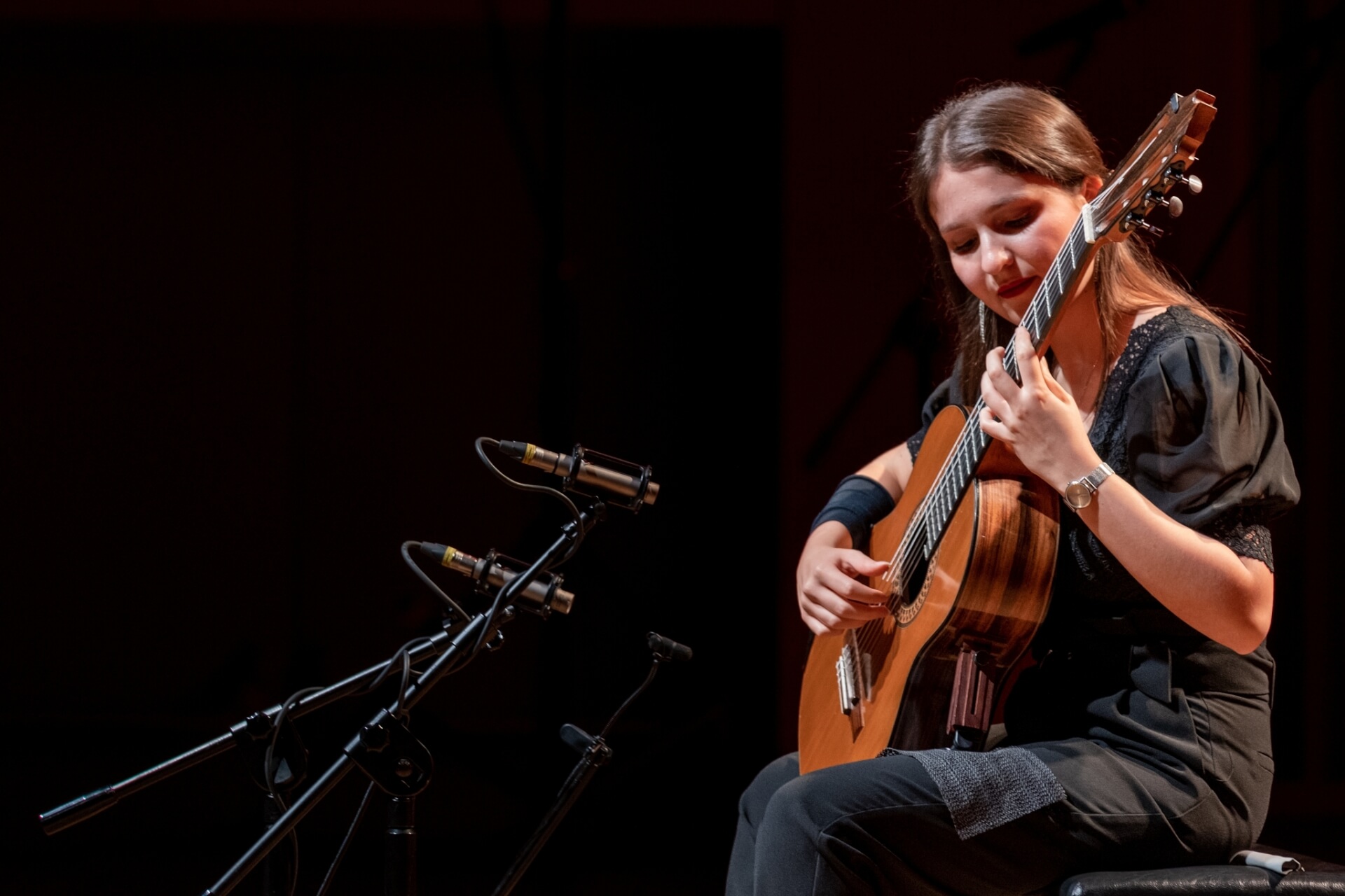 Śląska Jesiwń Gitarowa