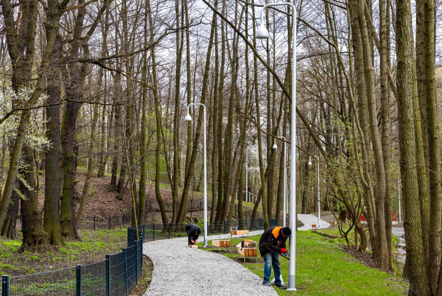 Park dolina slepiotki katowice 01