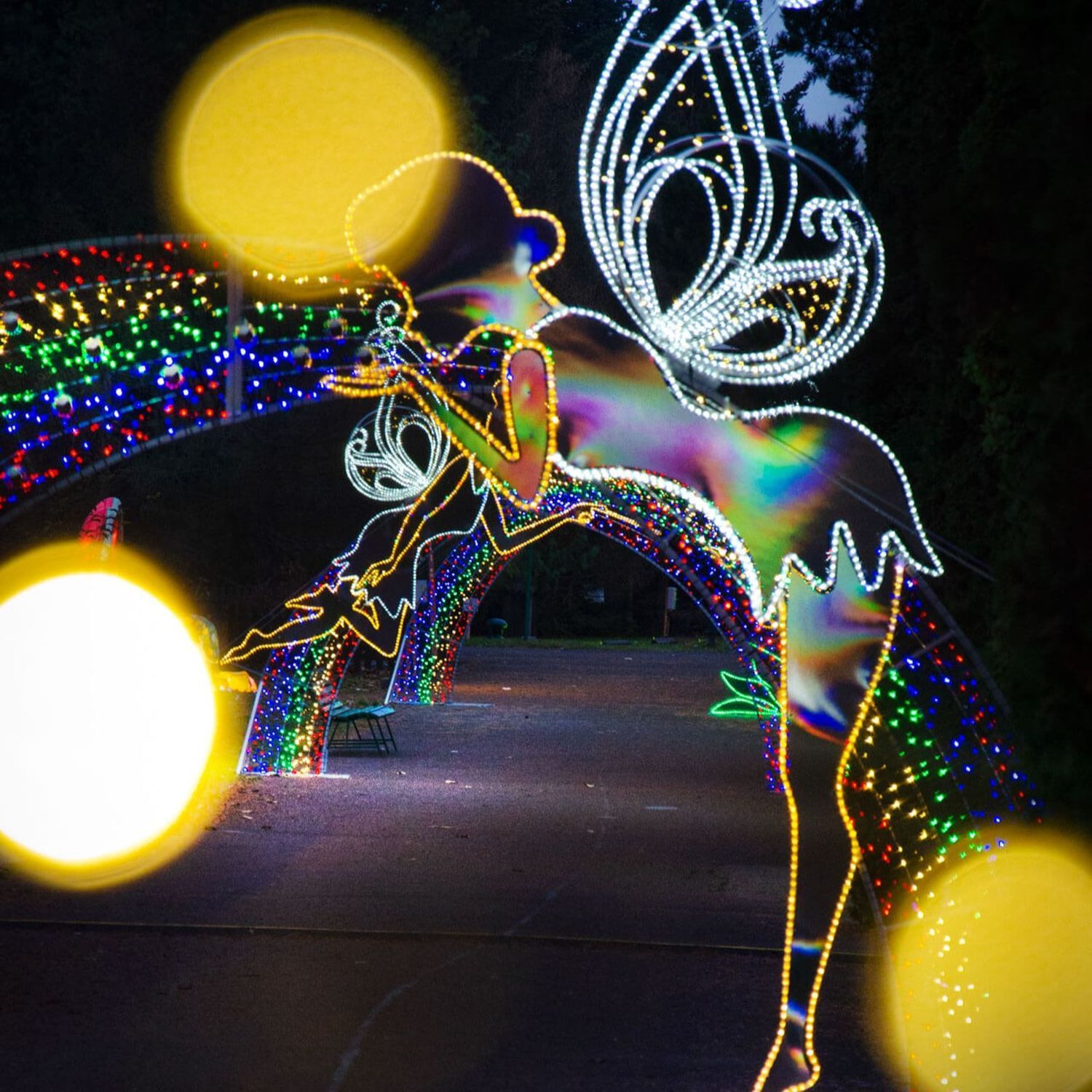 Garden of Lights - Mikołów