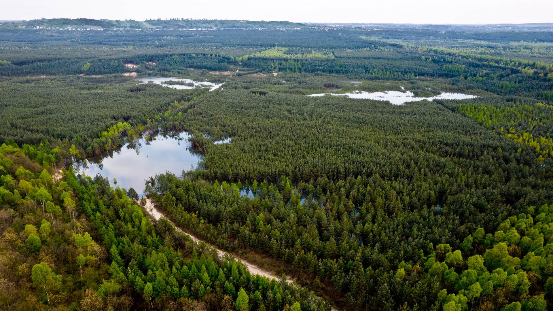 Zalewiska w rejonie wsi Hutki