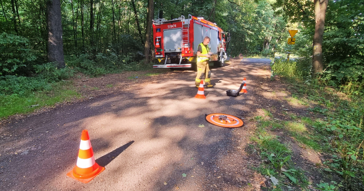 Poszukiwania zaginionej Łaziska