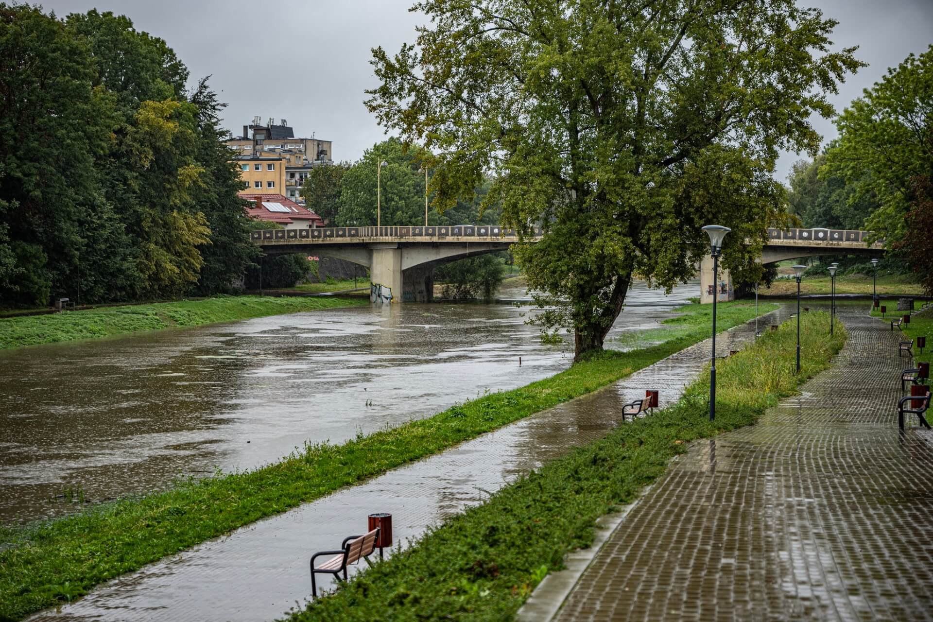 Odra w Raciborzu