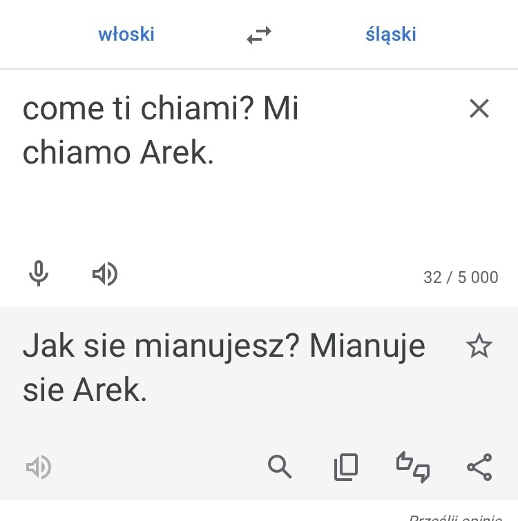 Slaski tlumacz google 1