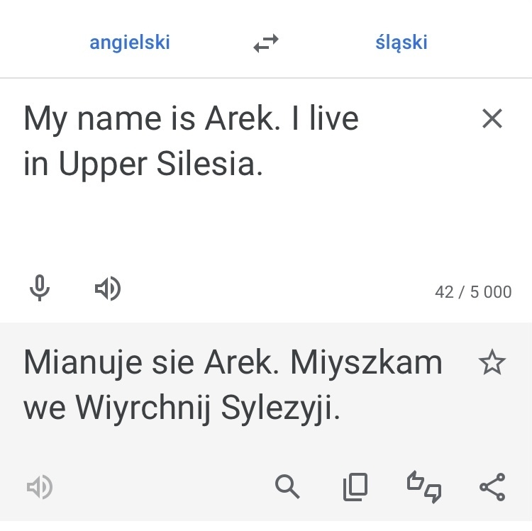 Slaski tlumacz google 2