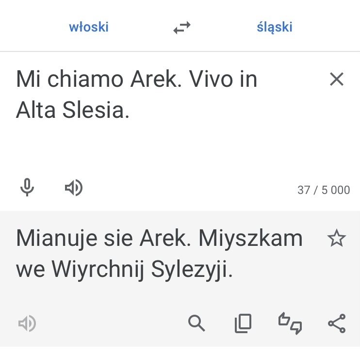 Slaski tlumacz google