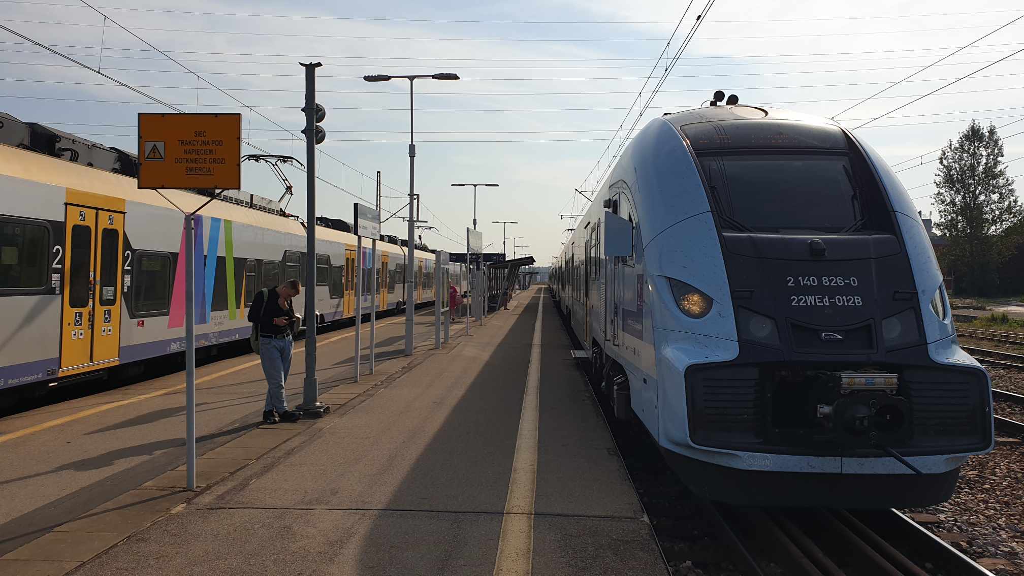 Stacja Katowice, Zawodzie. Stoją pociągi Kolei Śląskich