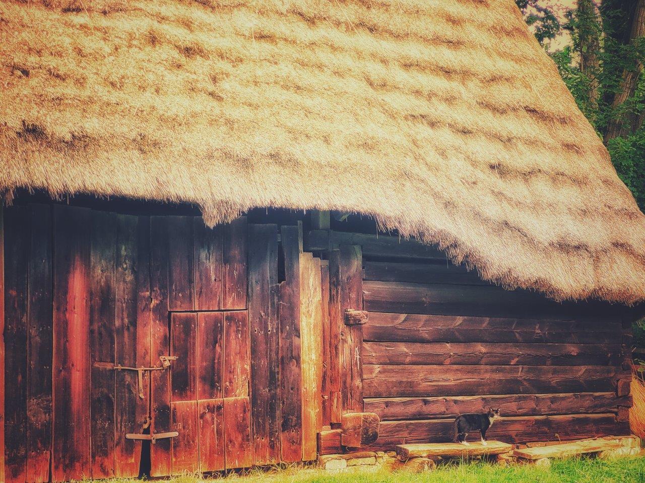 Stodoł z brzesc skansen chorzow 02