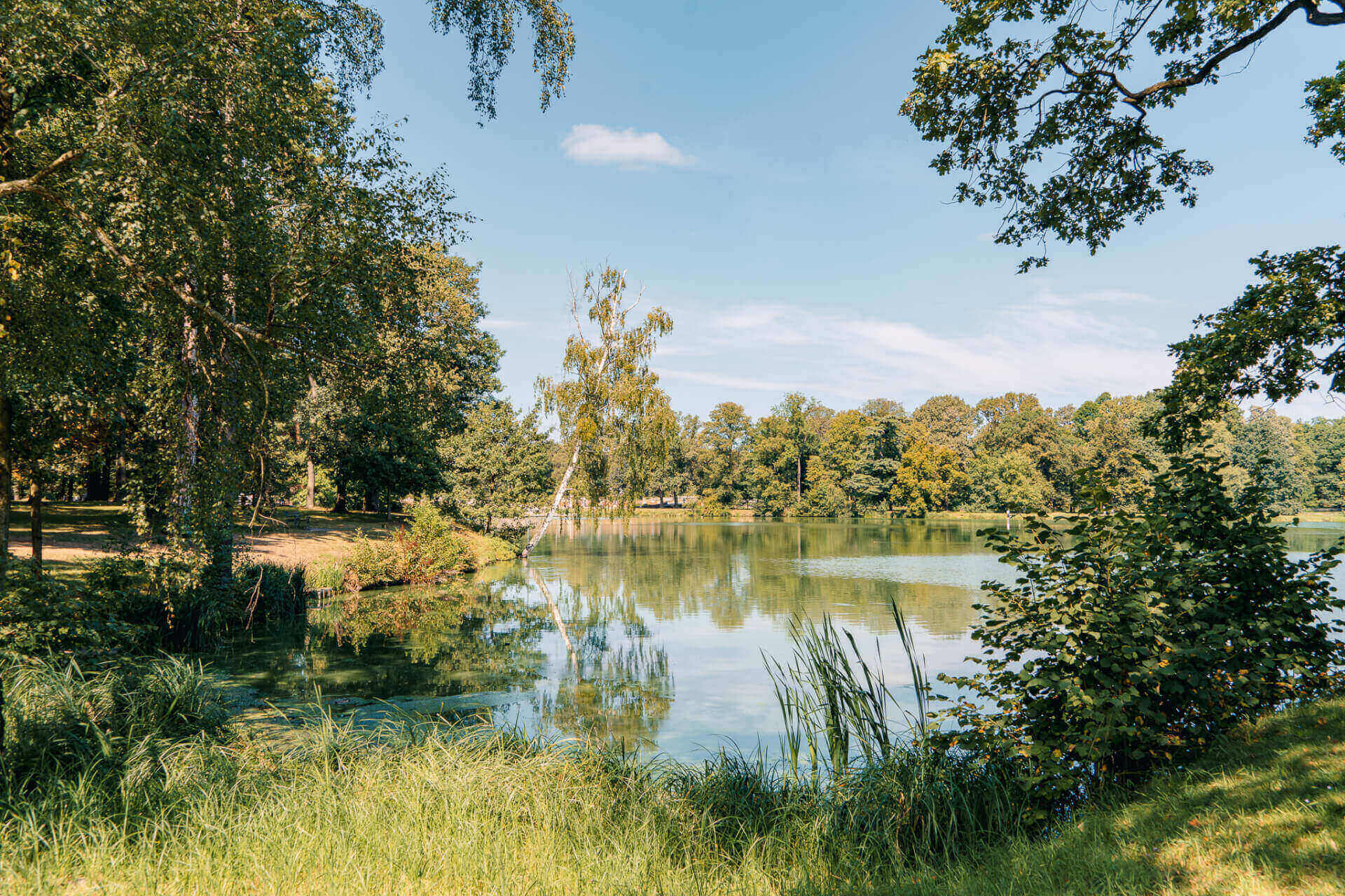 Park Świerklaniec